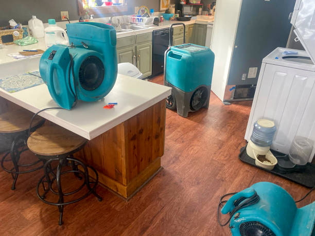 Best Sewage cleanup and water damage restoration  in Lawnside, NJ