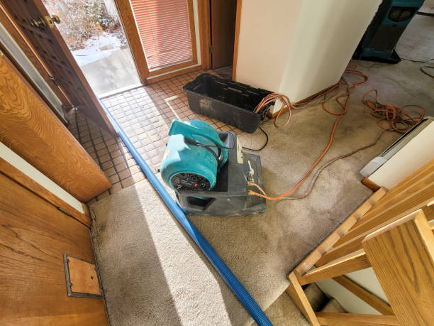 Best Commercial water damage restoration  in Lawnside, NJ