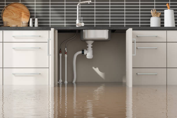 Best Water damage restoration services  in Lawnside, NJ