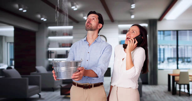Best Local water damage restoration  in Lawnside, NJ